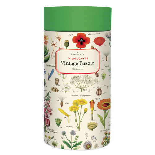 An Image of Cavallini Color Wheel Apron